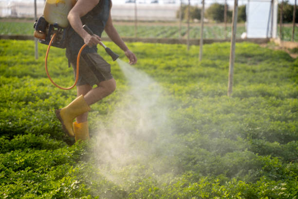 Best Pest Control Cost  in , VA