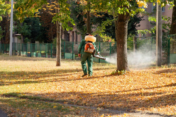 Best Commercial Pest Control Services  in , VA
