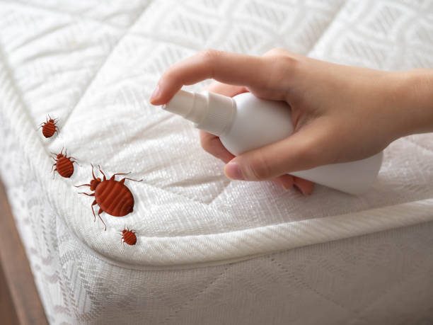 Best Pest Prevention Services  in , VA