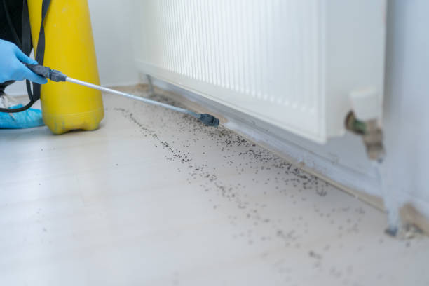 Best Emergency Pest Control  in , VA