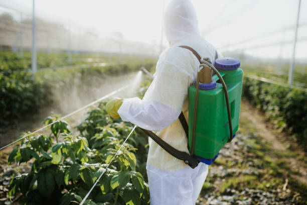 Best Pest Control Near Me  in , VA